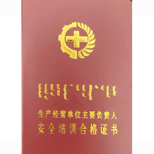 一般企业主要负责人