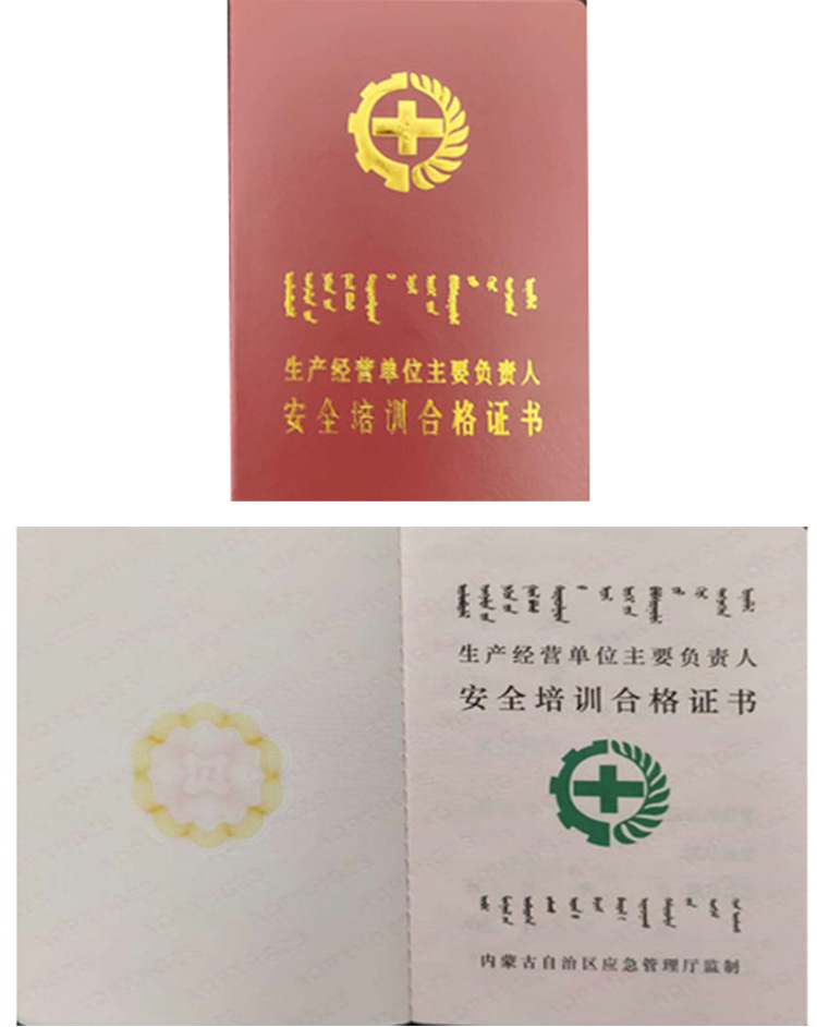 一般企业主要负责人