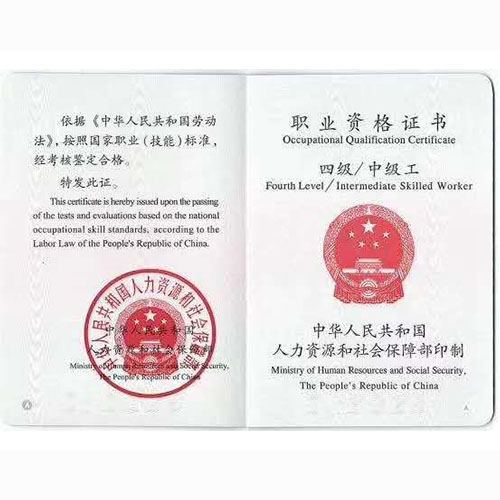 证书照片-人力资源与社会保障局等级证书2.jpg